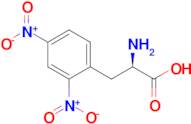 (R)-2-Amino-3-(2,4-dinitrophenyl)propanoic acid