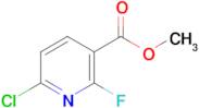 Methyl 6-chloro-2-fluoronicotinate