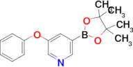 3-Phenoxy-5-(4,4,5,5-tetramethyl-1,3,2-dioxaborolan-2-yl)pyridine