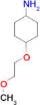 Cyclohexanamine, 4-(2-methoxyethoxy)-, trans- (9CI)