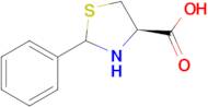 (4R)-2-Phenylthiazolidine-4-carboxylic acid