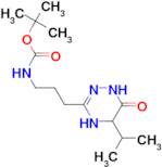 tert-butyl 3-(5-isopropyl-6-oxo-1,4,5,6-tetrahydro-1,2,4-triazin-3-yl)propylcarbamate