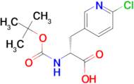 (2R)-2-[(tert-butoxycarbonyl)amino]-3-(6-chloropyridin-3-yl)propanoic acid