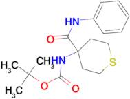 tert-butyl 4-(anilinocarbonyl)tetrahydro-2H-thiopyran-4-ylcarbamate