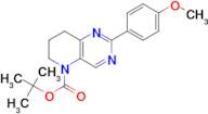 tert-butyl 2-(4-methoxyphenyl)-7,8-dihydropyrido[3,2-d]pyrimidine-5(6H)-carboxylate