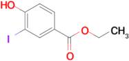 ETHYL 4-HYDROXY-3-IODOBENZOATE