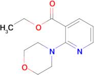 ETHYL 2-MORPHOLIN-4-YL-NICOTINATE