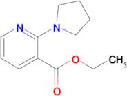 ETHYL 2-(1-PYRROLIDINYL)NICOTINATE