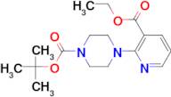 1-BOC-4-(3-ETHOXYCARBONYL-PYRIDIN-2-YL)-PIPERAZINE