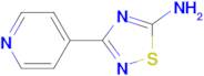 3-(4-PYRIDINYL)-5-AMINO-[1,2,4]THIADIAZOLE