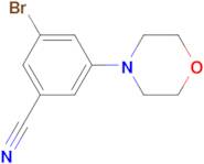 N-(3-BROMO-5-CYANO-PHENYL)-MORPHOLINE