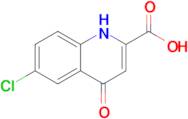 6-CHLORO-4-OXO-1,4-DIHYDROQUINOLINE-2-CARBOXYLIC ACID