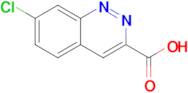 7-CHLOROCINNOLINE-3-CARBOXYLIC ACID