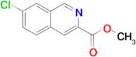 METHYL 7-CHLOROISOQUINOLINE-3-CARBOXYLATE