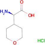 D-4'-TETRAHYDROPYRANYLGLYCINE HCL