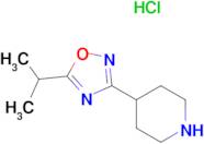 5-ISOPROPYL-3-(PIPERIDIN-4-YL)-1,2,4-OXADIAZOLE HCL