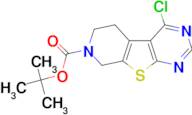 TERT-BUTYL 4-CHLORO-5,6-DIHYDROPYRIDO[4',3':4,5]THIENO[2,3-D]PYRIMIDINE-7(8H)-CARBOXYLATE