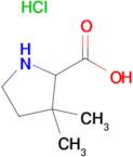 3,3-DIMETHYLPYRROLIDINE-2-CARBOXYLIC ACID HCL