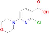 2-CHLORO-6-MORPHOLINONICOTINIC ACID