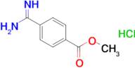 METHYL 4-CARBAMIMIDOYLBENZOATE HYDROCHLORIDE