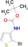 3-(BOC-AMINO)-2-BROMOTHIOPHENE