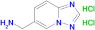 [1,2,4]triazolo[1,5-a]pyridin-6-ylmethanaminedihydrochloride