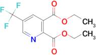 DIETHYL 5-(TRIFLUOROMETHYL)PYRIDINE-2,3-DICARBOXYLATE