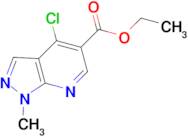 ETHYL 4-CHLORO-1-METHYL-1H-PYRAZOLO[3,4-B]PYRIDINE-5-CARBOXYLATE