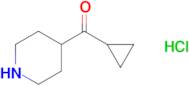 CYCLOPROPYL(PIPERIDIN-4-YL)METHANONE HCL