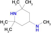 4-METHYLAMINO-2,2,6,6-TETRAMETHYLPIPERIDINE