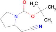 1-BOC-2-(CYANOMETHYL)PYRROLIDINE