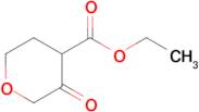 ETHYL 3-OXOTETRAHYDRO-2H-PYRAN-4-CARBOXYLATE