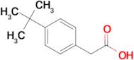 (4-tert-Butylphenyl)acetic acid