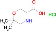 (R)-6,6-DIMETHYL-MORPHOLINE-3-CARBOXYLIC ACID HCL