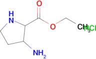 ETHYL 3-AMINO-DL-PROLINATE HCL