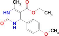 ETHYL 4-(4-METHOXYPHENYL)-6-METHYL-2-OXO-1,2,3,4-TETRAHYDROPYRIMIDINE-5-CARBOXYLATE