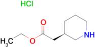 (R)-ETHYL 3-PIPERIDINYLACETATE HCL