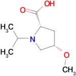 (2S,4S)-1-ISOPROPYL-4-METHOXY-PROLINE