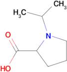 1-ISOPROPYL-PYRROLIDINE-2-CARBOXYLIC ACID