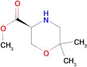 (S)-METHYL 6,6-DIMETHYL-MORPHOLINE-3-CARBOXYLATE