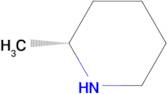 (R)-2-Methylpiperidine