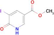 METHYL 6-HYDROXY-5-IODONICOTINATE