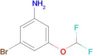 3-BROMO-5-(DIFLUOROMETHOXY)ANILINE