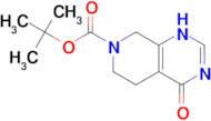 TERT-BUTYL 4-HYDROXY-5,6-DIHYDROPYRIDO[3,4-D]PYRIMIDINE-7(8H)-CARBOXYLATE