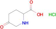 5-OXOPIPERIDINE-2-CARBOXYLIC ACID HCL