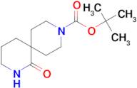 TERT-BUTYL 1-OXO-2,9-DIAZASPIRO[5.5]UNDECANE-9-CARBOXYLATE