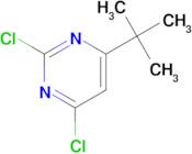 4-TERT-BUTYL-2,6-DICHLOROPYRIMIDINE