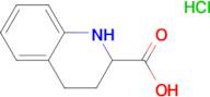 1,2,3,4-TETRAHYDROQUINOLINE-2-CARBOXYLIC ACID HCL