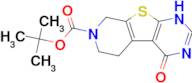 TERT-BUTYL 4-OXO-3,4,5,6-TETRAHYDROPYRIDO[4',3':4,5]THIENO[2,3-D]PYRIMIDINE-7(8H)-CARBOXYLATE