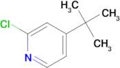 4-tert-Butyl-2-chloro-pyridine